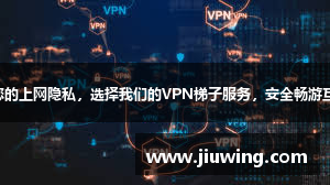 梯子npv加速器