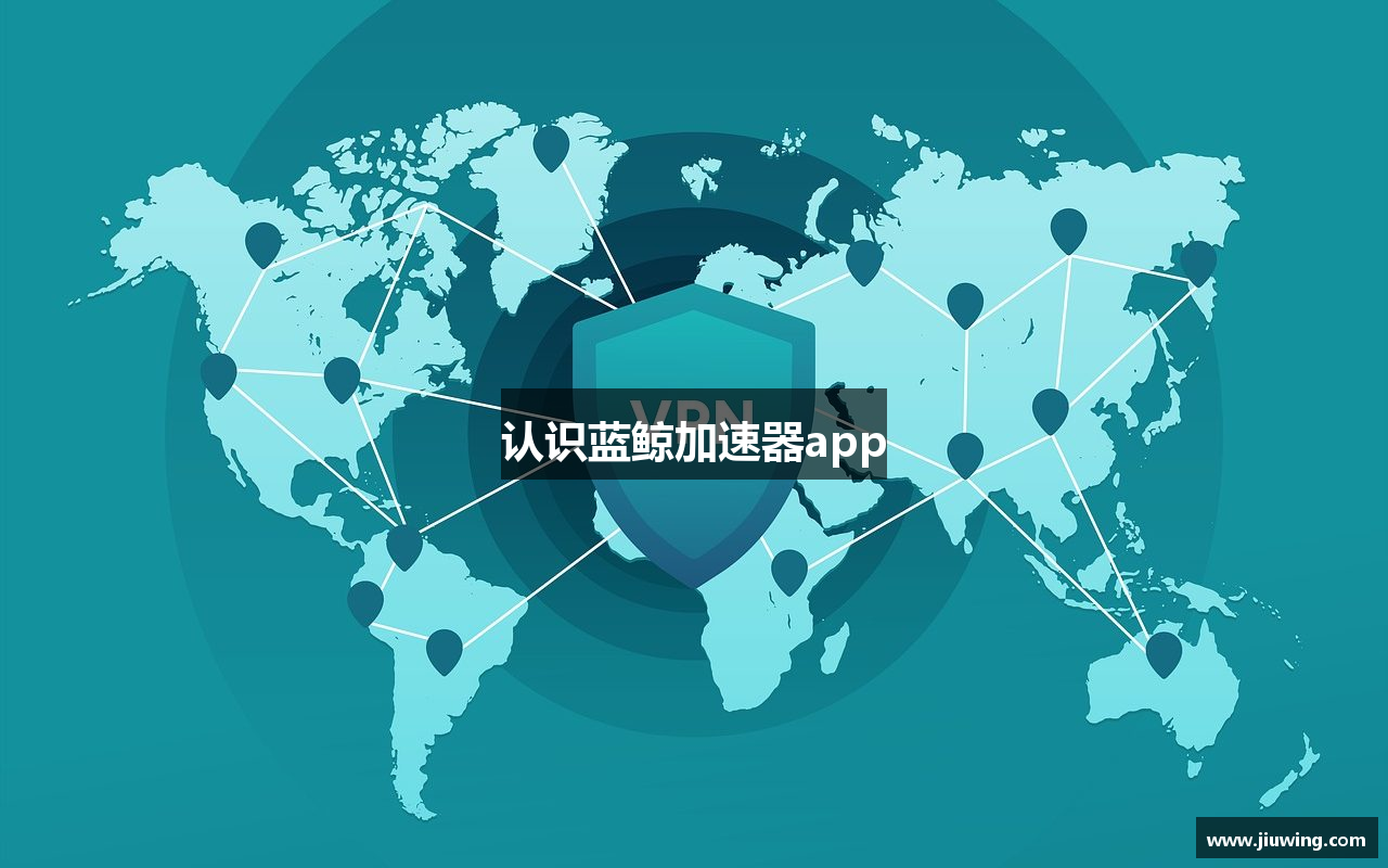 认识蓝鲸加速器app